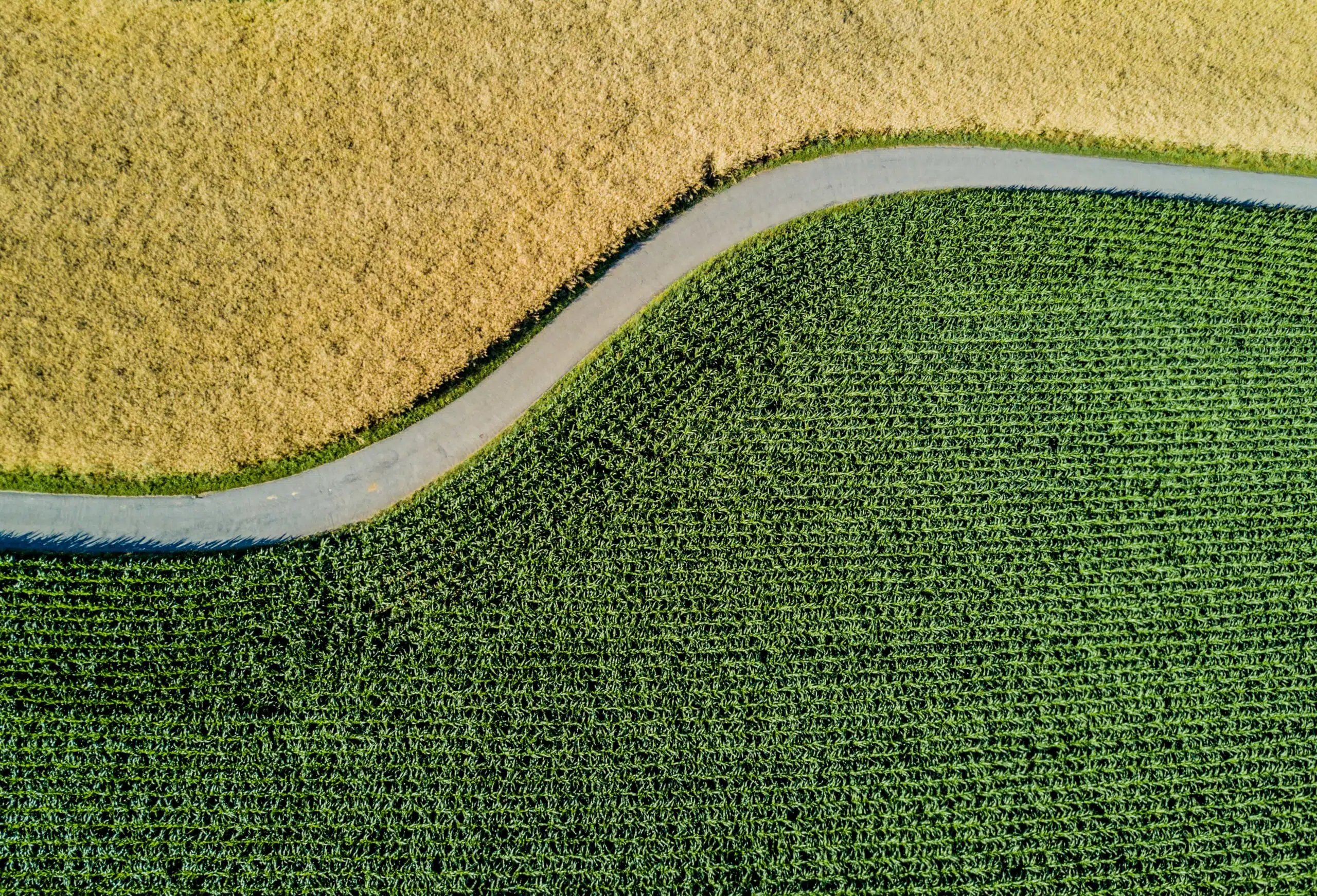 Business Ownership at a Crossroads: Key Questions for Planning What’s Next