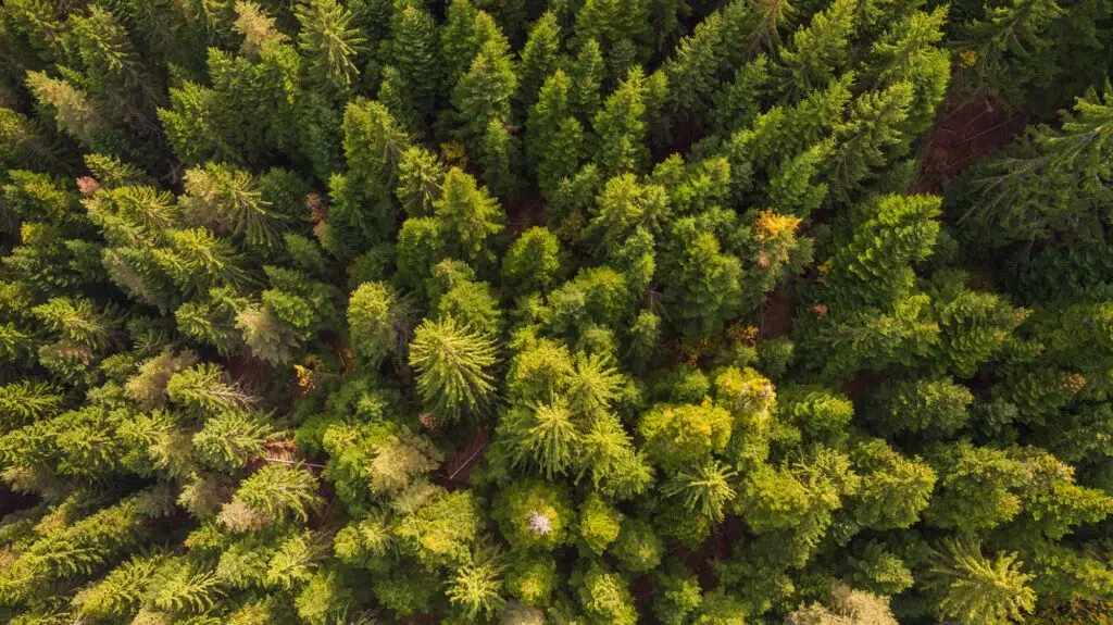  Sustainable Views: Time to Re-Energise Investor Climate Action Featured Image