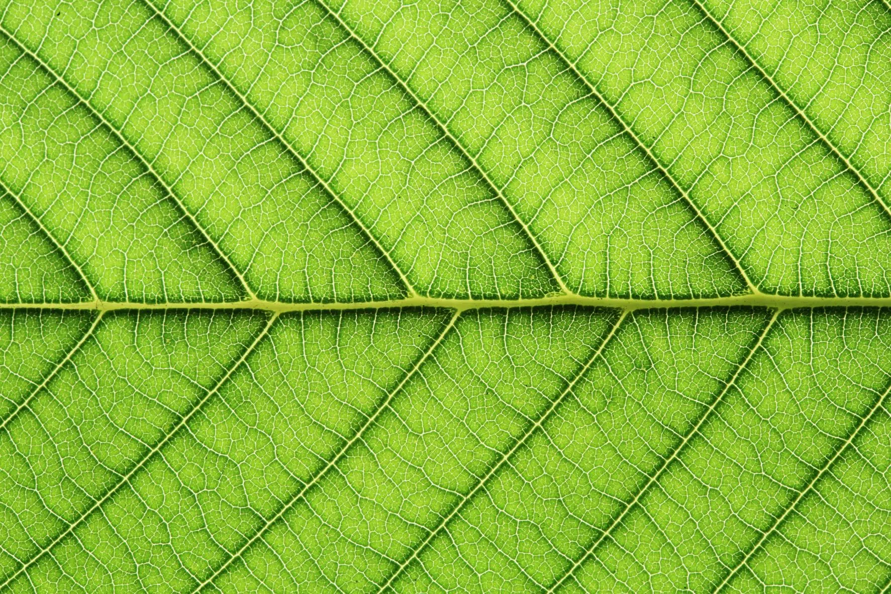 Implementing a Sustainable and Impact Investing Strategy – A Family Perspective