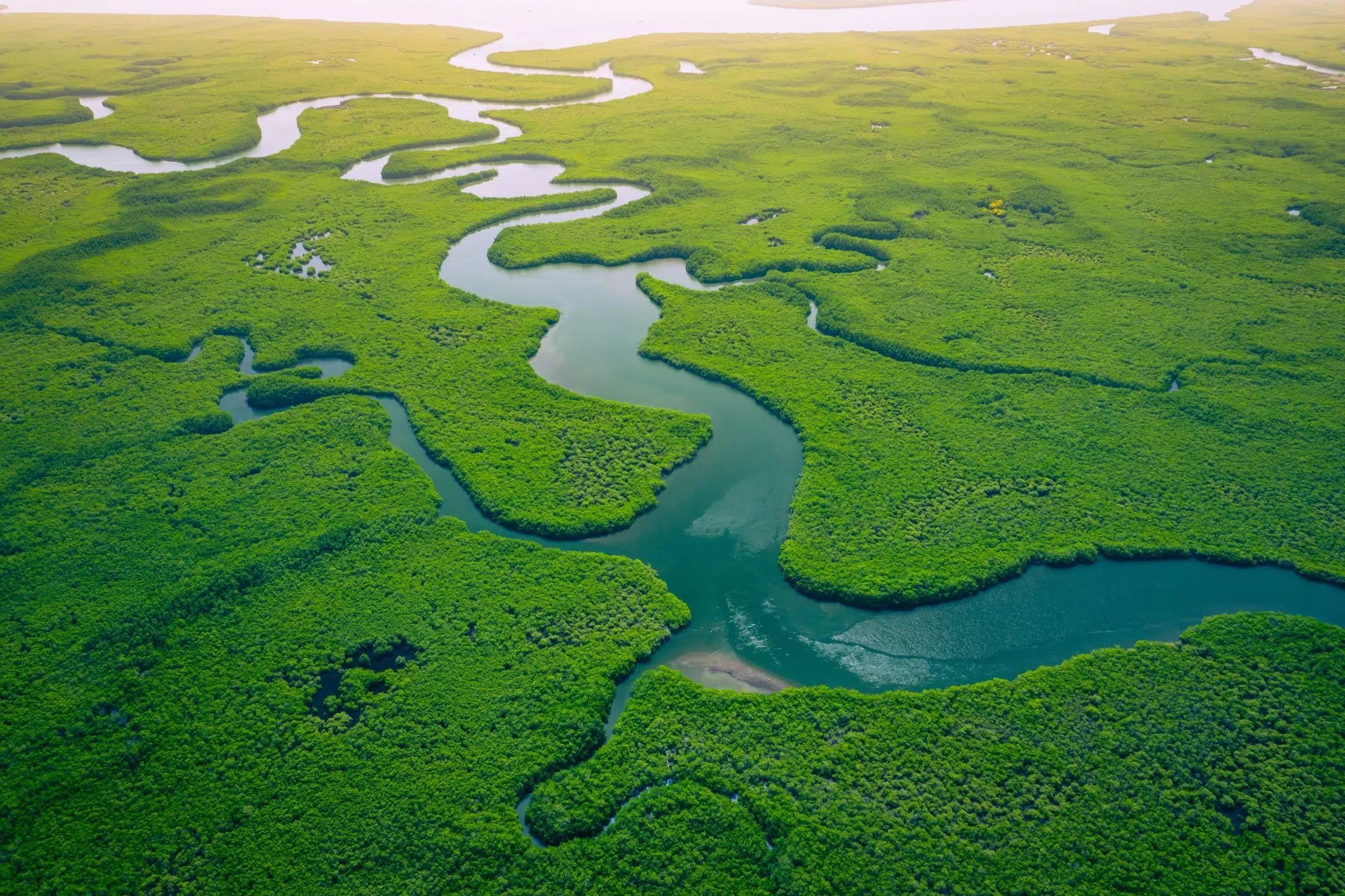 Climate Solutions Investing: Your Toolbox for Building a Diversified Investment Portfolio