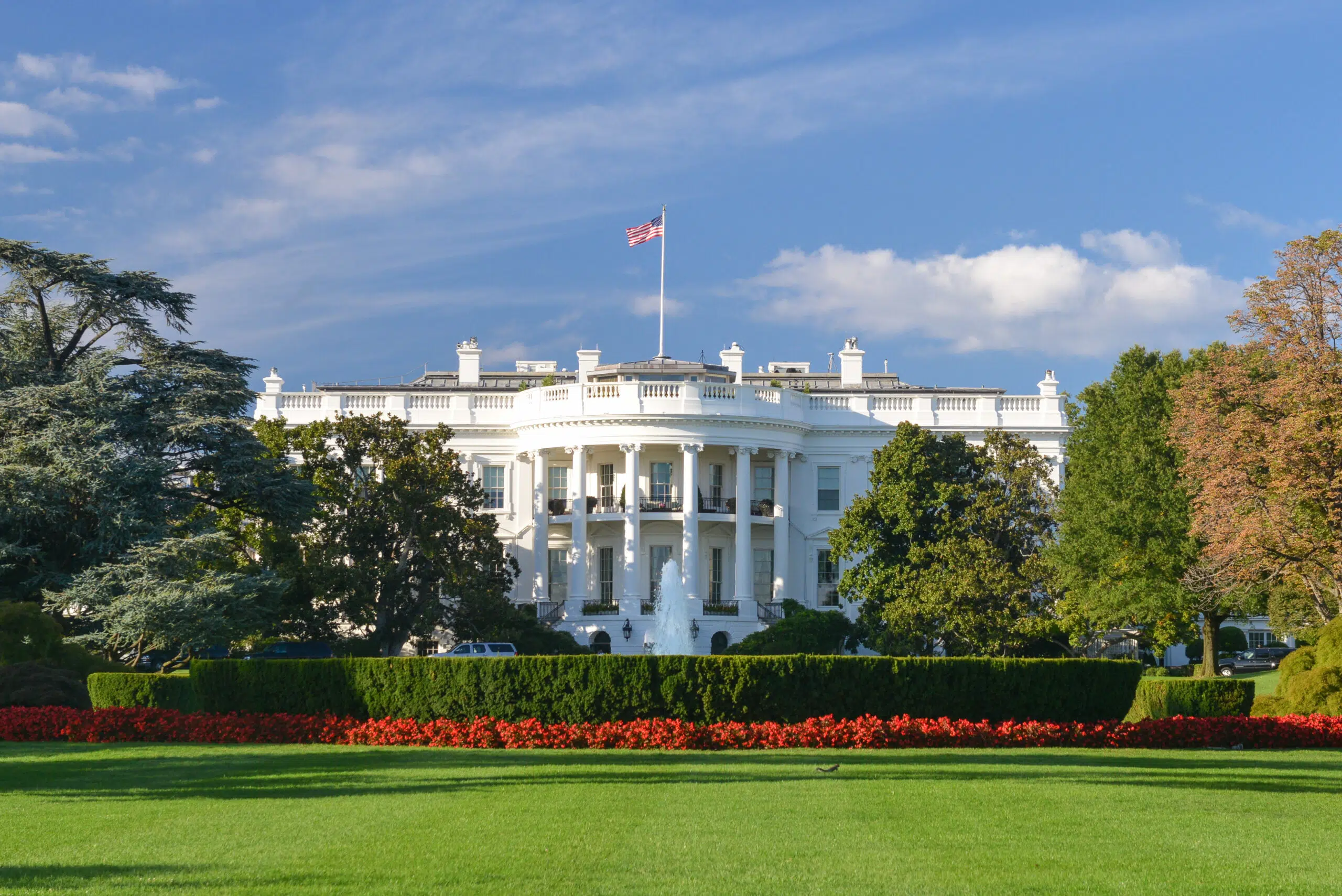 US Election Anxiety: Keeping Calm Amid Political Uncertainty