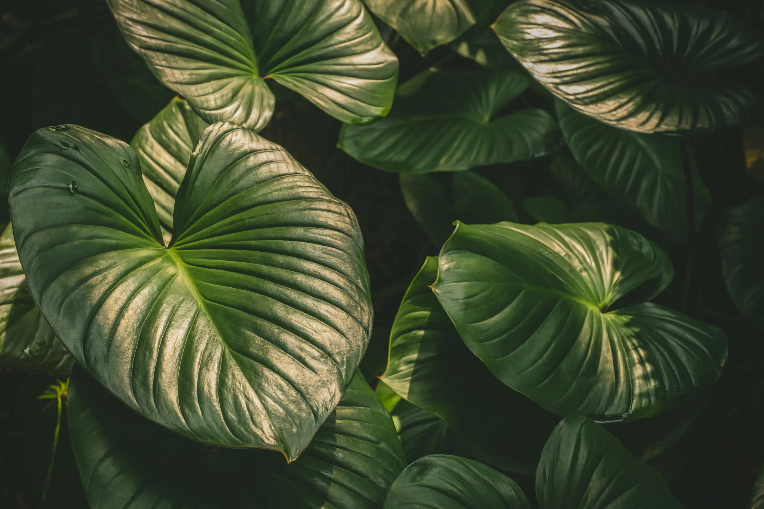 Circular Economy Models Can Improve Supply Chain Resilience