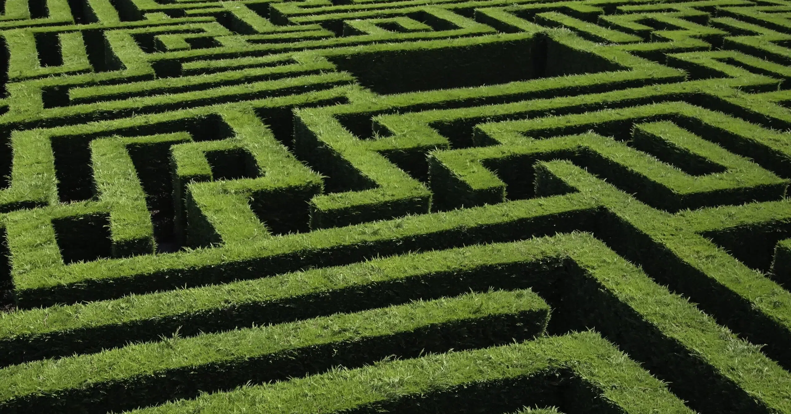 Navigating the Diversified Growth Fund Maze