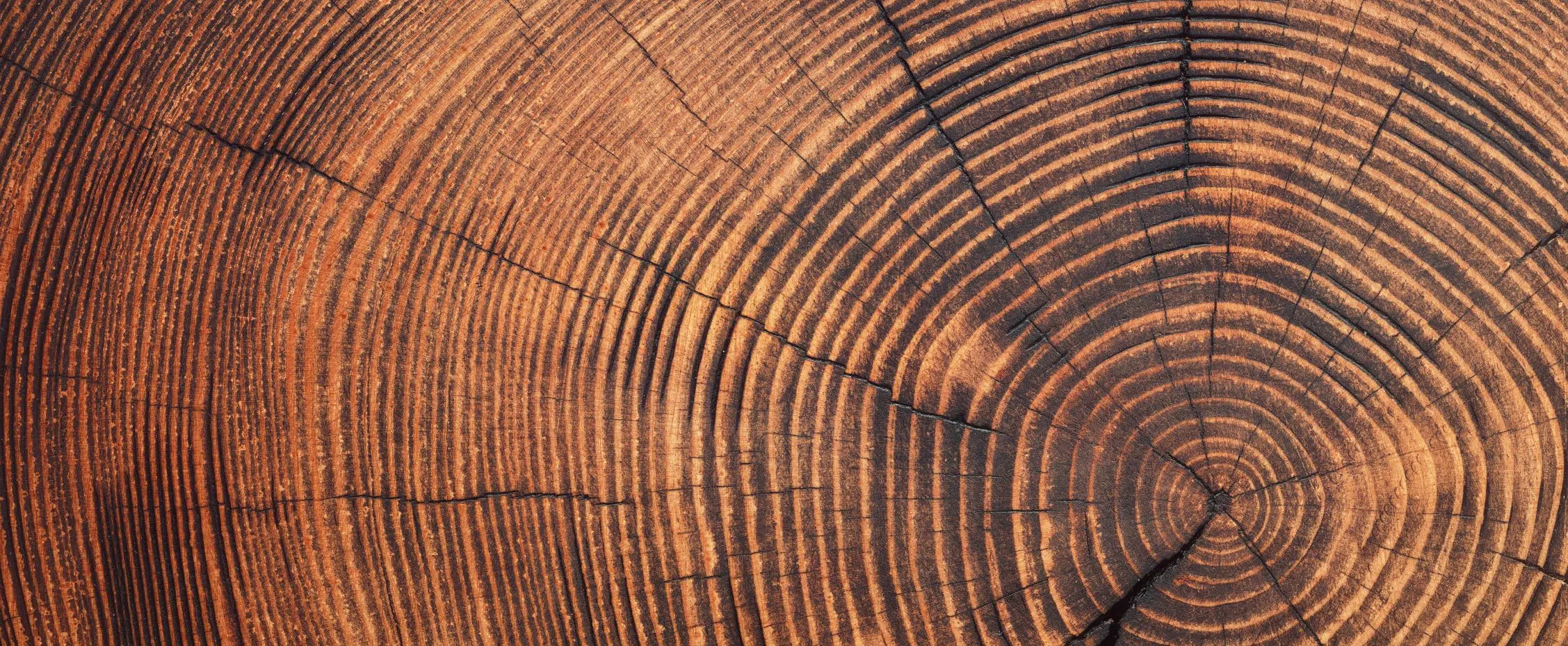 Case Study: Building custom portfolios to reflect each family member’s distinct impact investing goals