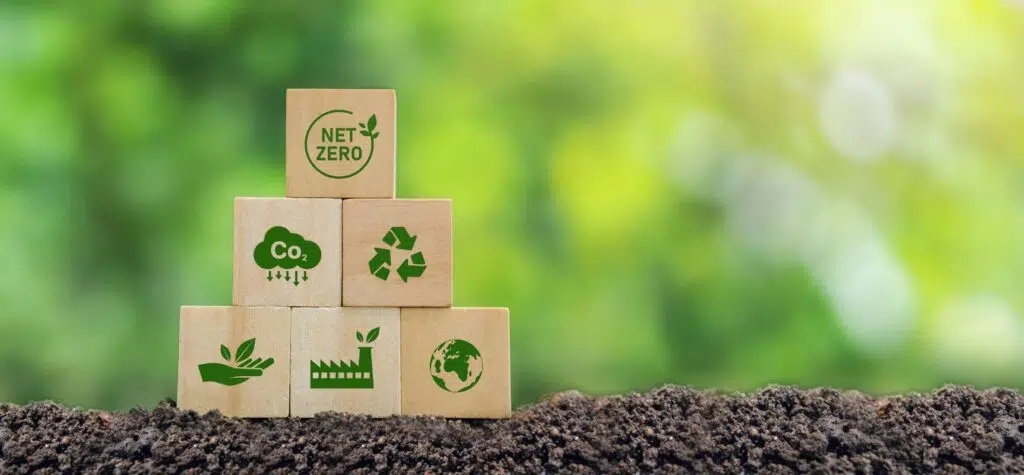  From Policy to Implementation: A Net Zero Playbook for Investors Featured Image