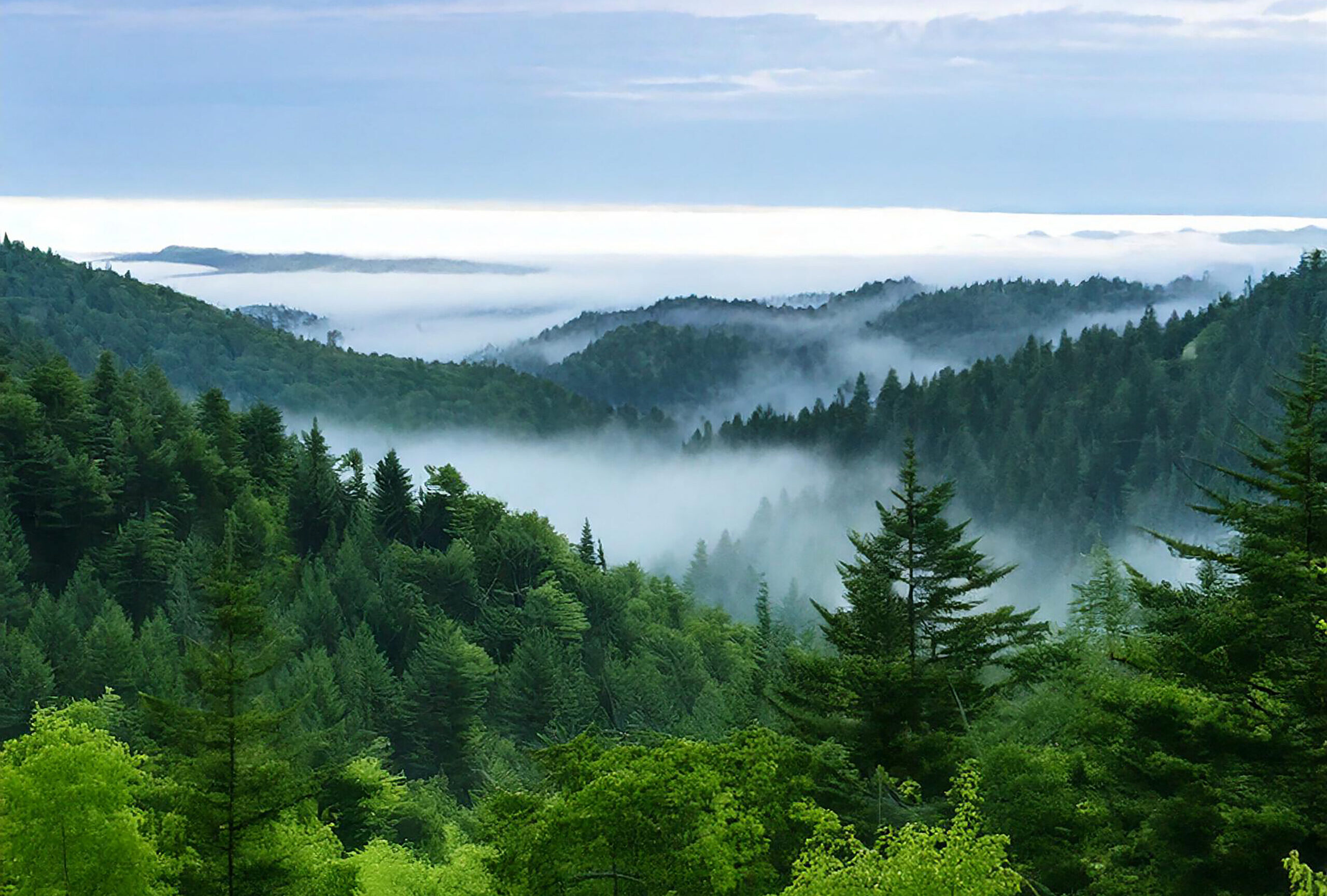 Physical Climate Risk Is Creating Opportunities in Adaptation and Resilience