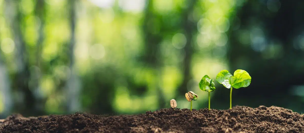 Are Secondaries Experiencing a Growth Spurt?