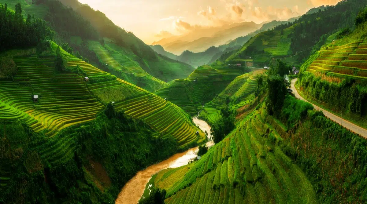 Asia Insights: Managing Risk Through Diversification