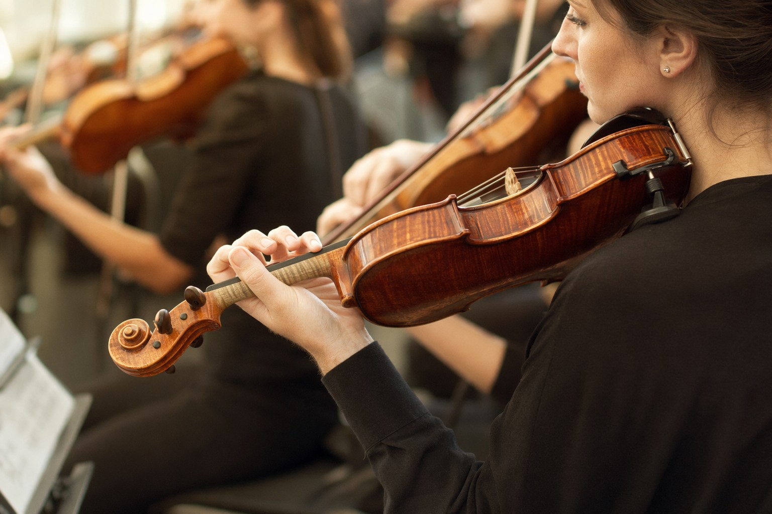 Behind the Mission: Leading Arts Institutions for the Long Term