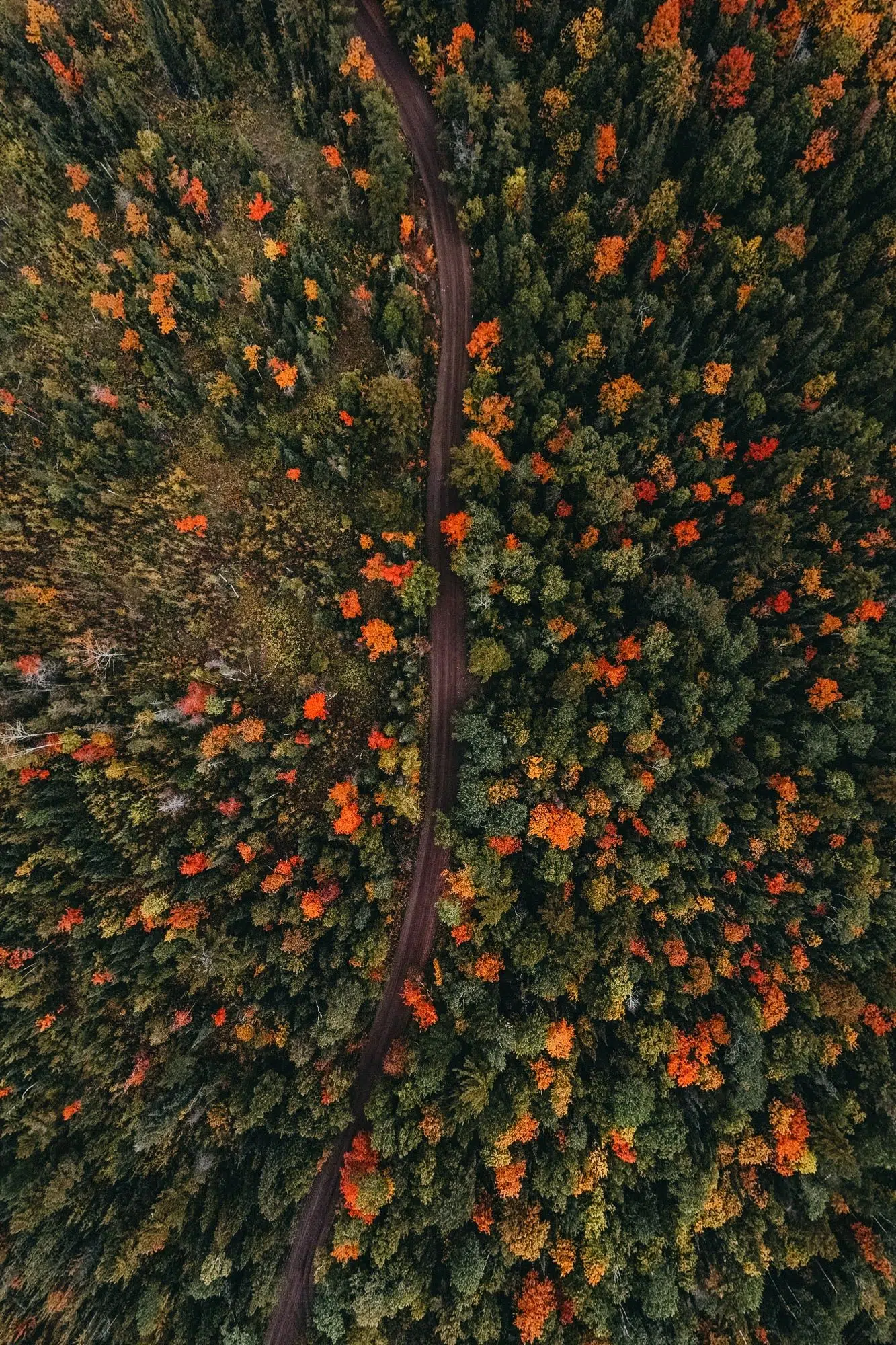 Risks and Opportunities From the Changing Climate: Playbook for the Truly Long-Term Investor