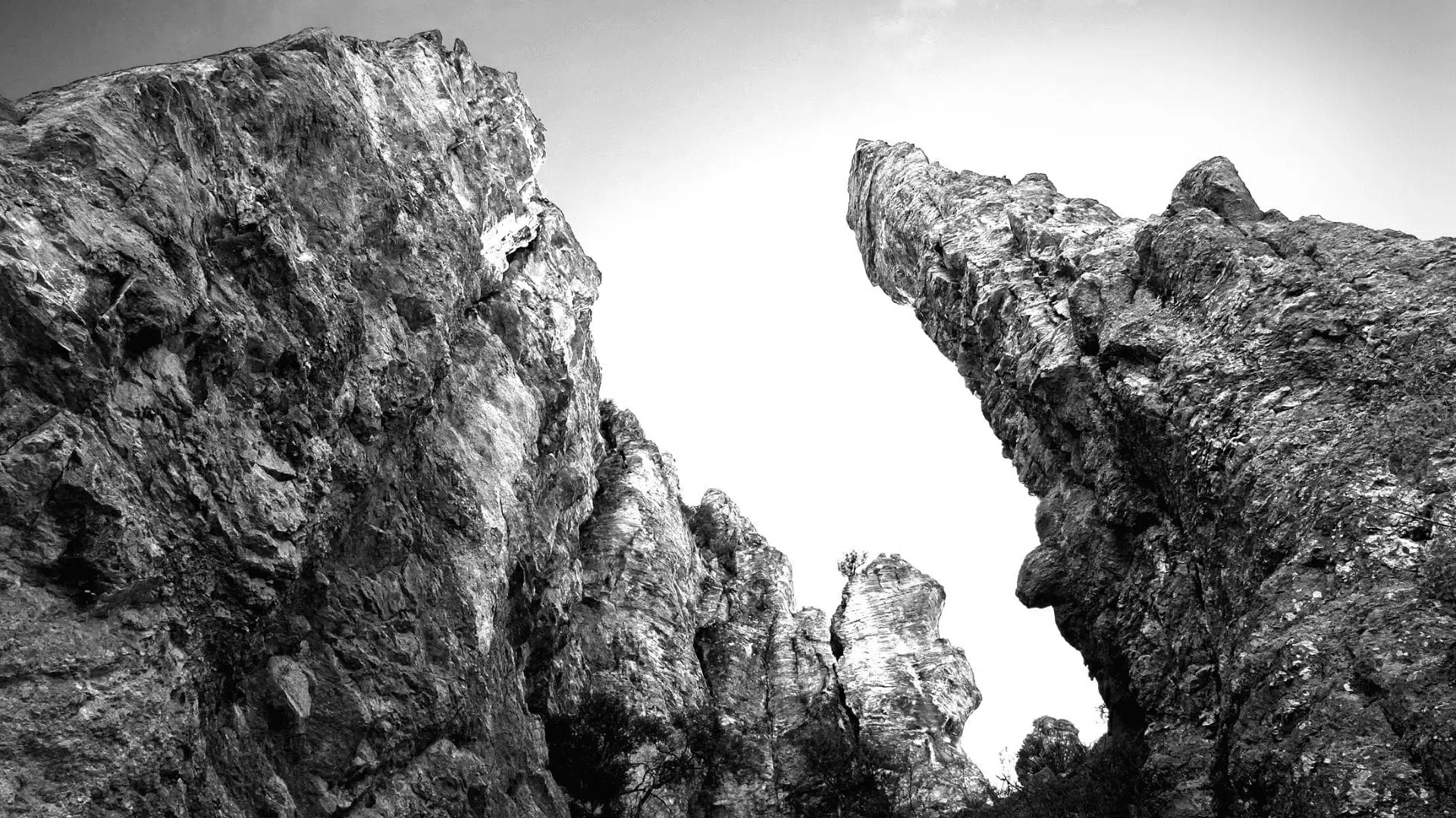 Managing Portfolios Through Equity Market Downturns
