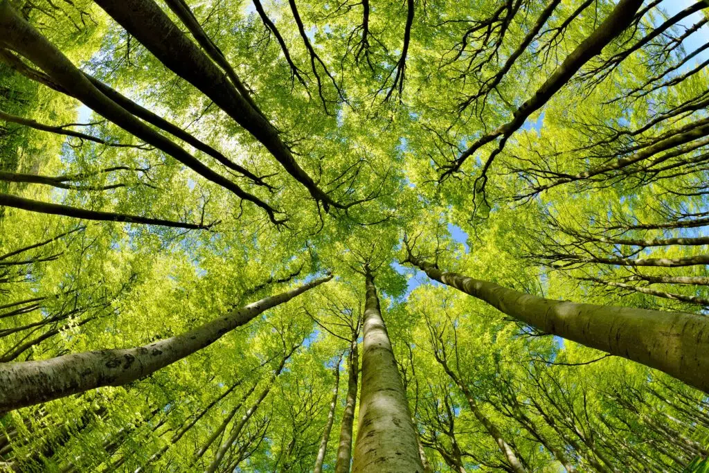  Sustainable Investing Podcast Featured Image