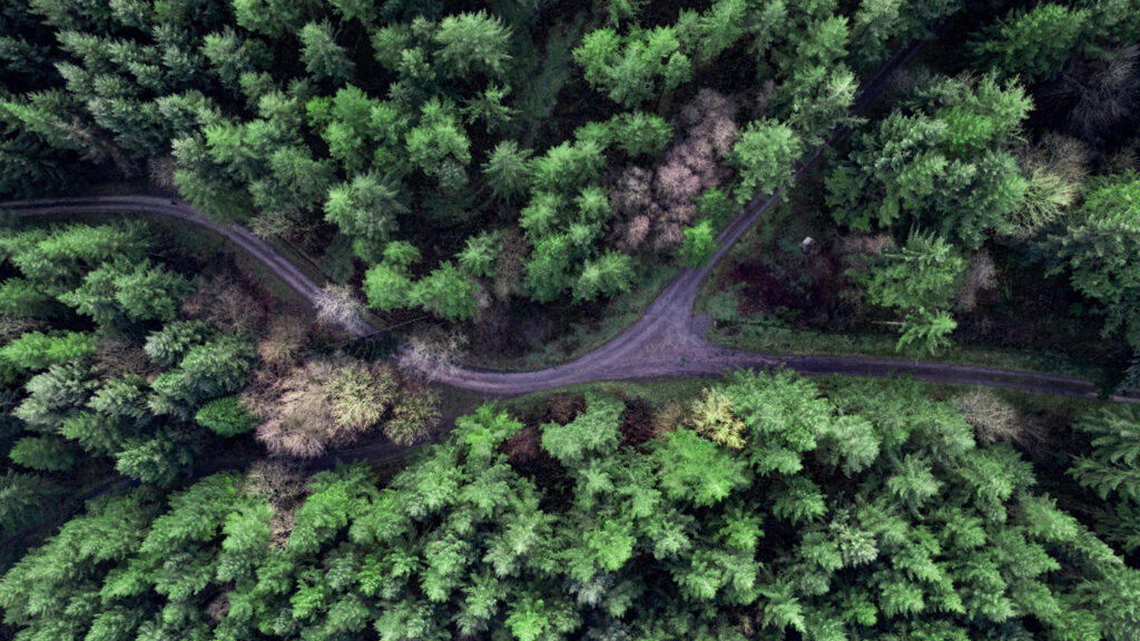  Cambridge Associates: Co-investing with LPs Can Help GPs Buy and Build Featured Image