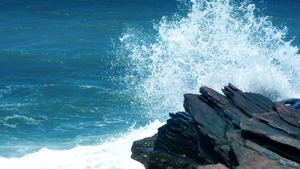  Making Waves: The Cresting Co-Investment Opportunity Featured Image