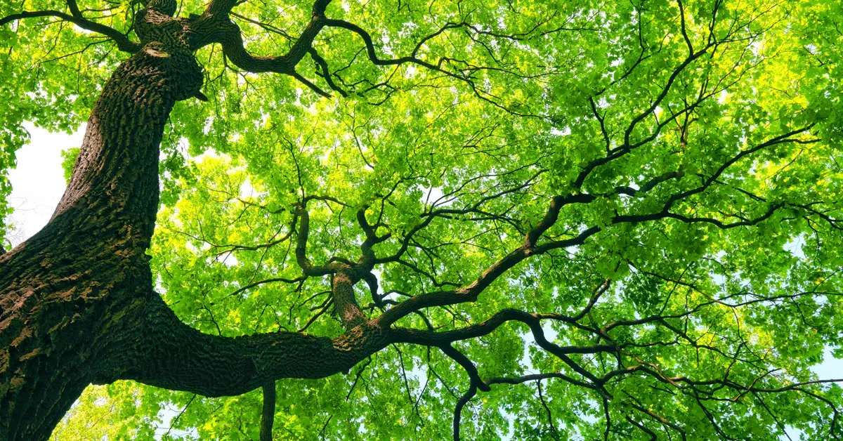 Specialty Finance Investing: A Versatile Tool for Private Credit Investors