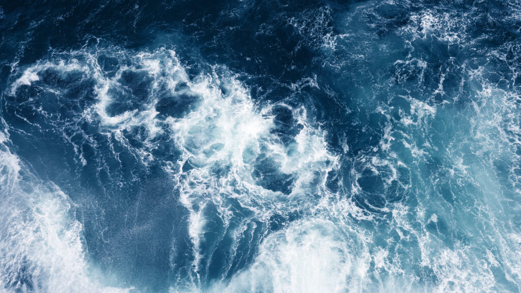  The Transformative Public University Endowment Featured Image