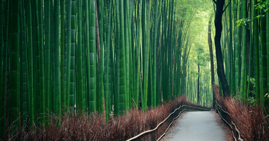  ESG Challenges and Opportunities in Chinese Equities Featured Image