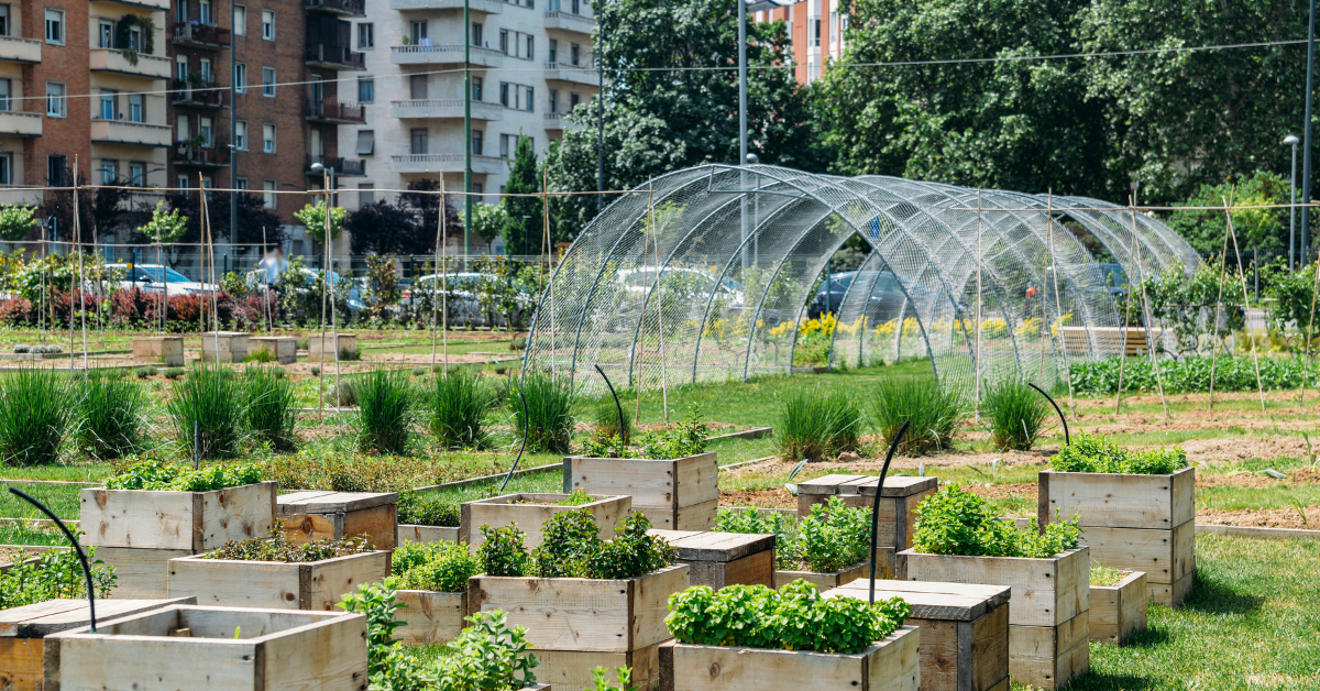 Investing for Climate Justice: An Intersectional Approach