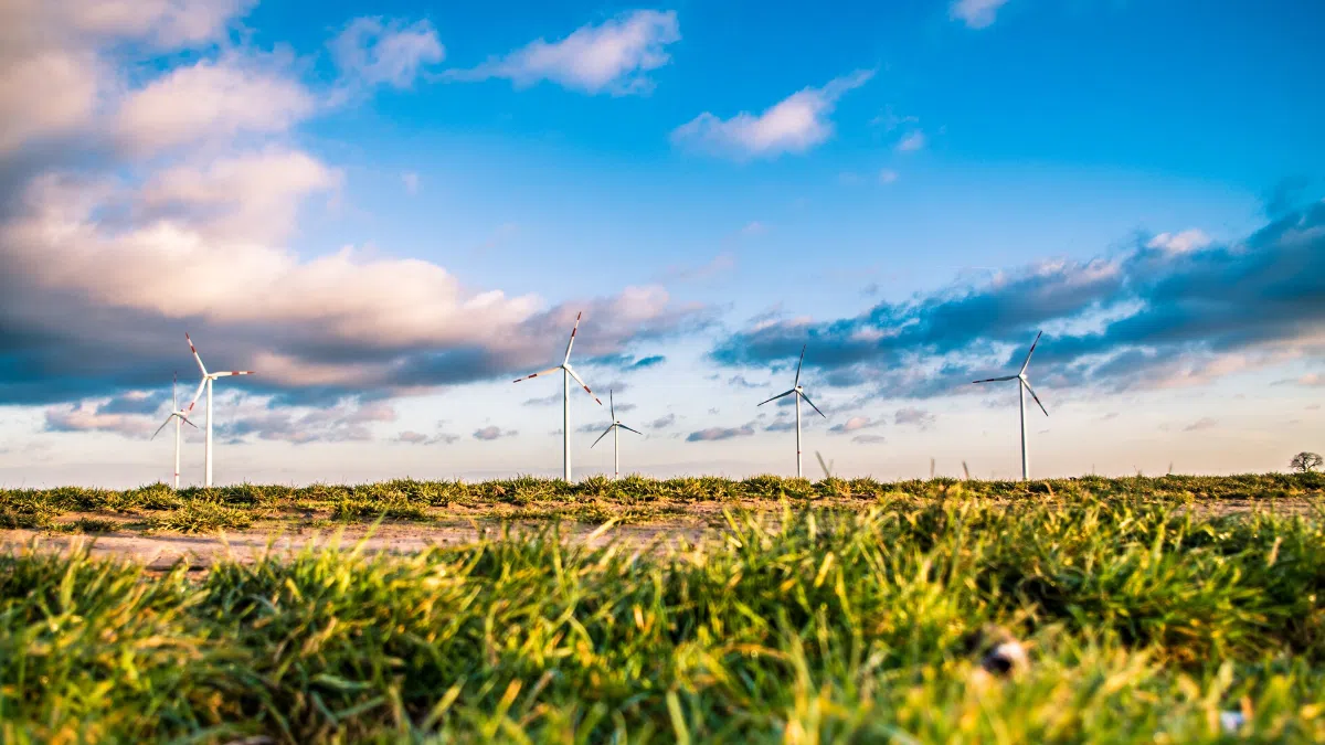 The Materiality of Sustainability for Investors