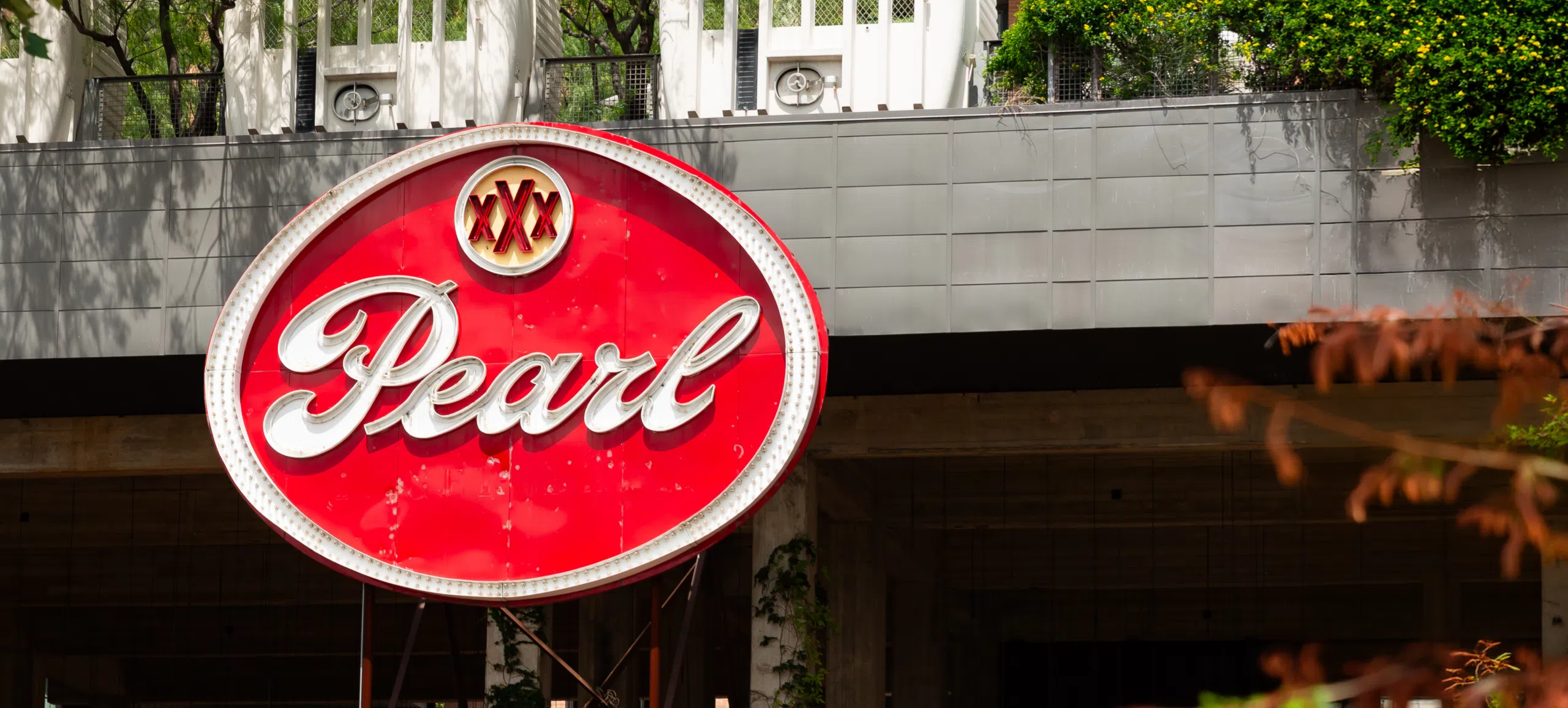 The Portfolio Behind Pearl: Funding a 100-Year Vision